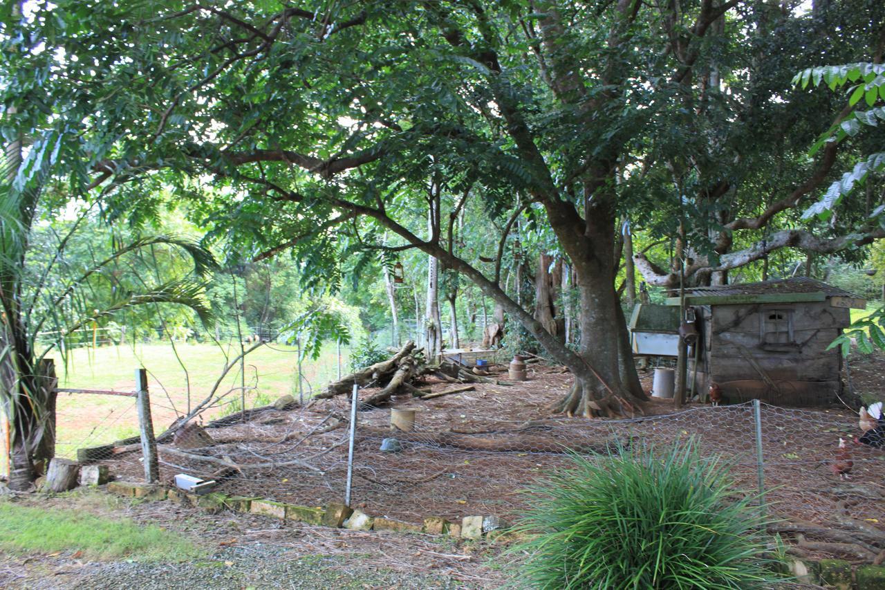 Alstonville Country Cottages Exterior foto